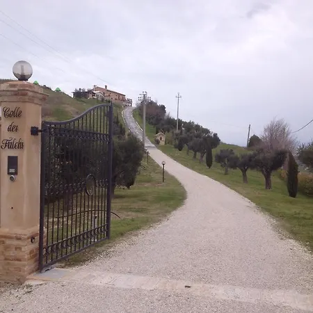 Colle Dei Falchi Fermo